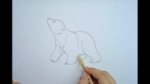 Как нарисовать медвежонка \\ белый мишка \\ нарисовать медведя \\ белый медвежонок