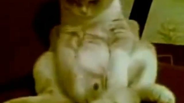 Забавные животные)))) смотреть онлайн