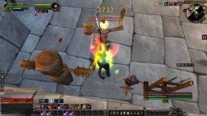 Ферал друид (кот) 3.3.5 WOTLK спам макросы. Кусаем за ляшку правильно.