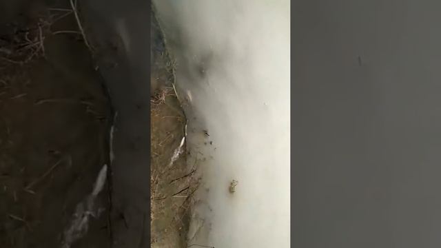 Привет всем мор рыбы на рядовке 18.03.2019год смотреть онлайн