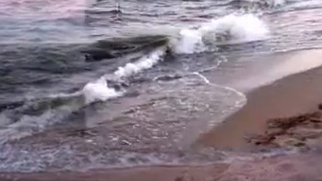 Море ты Азовское. смотреть онлайн