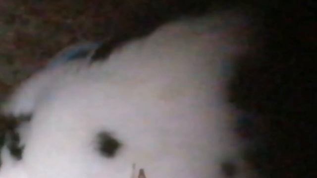 Моё хозяйство, как я отлавливаю кроликов. Немецкий строкач. смотреть онлайн