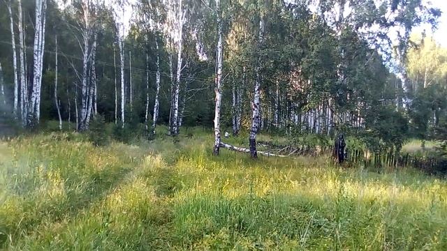 Отжиг на Иж Планете 5 смотреть онлайн