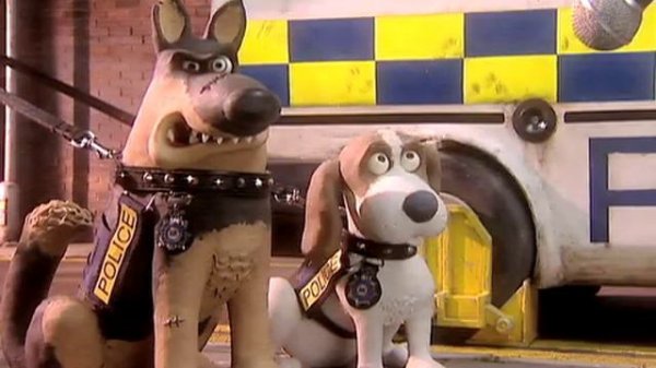 Creature Comforts - Working Animals Part 1