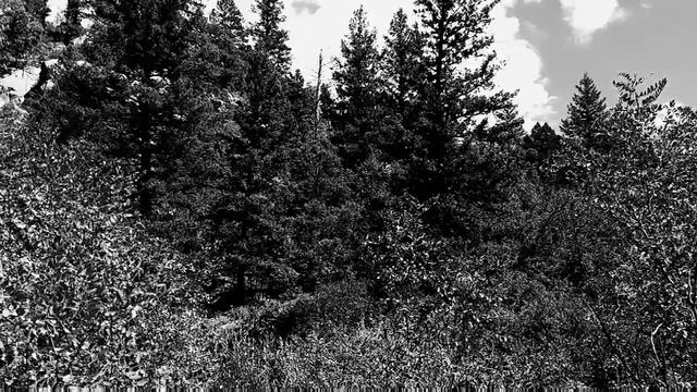 Psychopomp-Chapter 2 смотреть онлайн