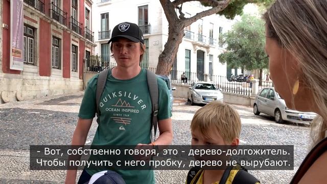 [4K] Пробковый дуб в Лиссабоне смотреть онлайн