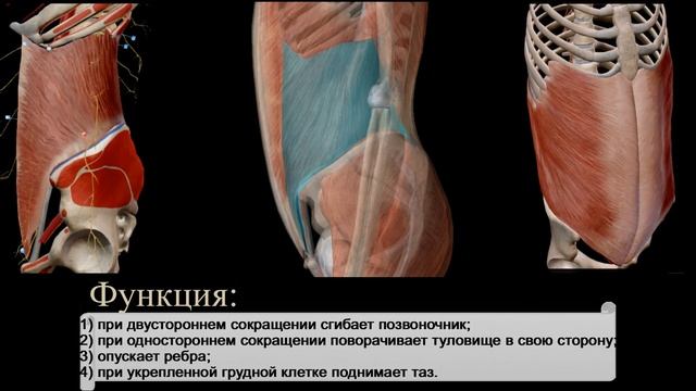 Лабиринты Локонов