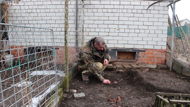 Как поймать хоря, норку или куницу в курятнике? смотреть онлайн