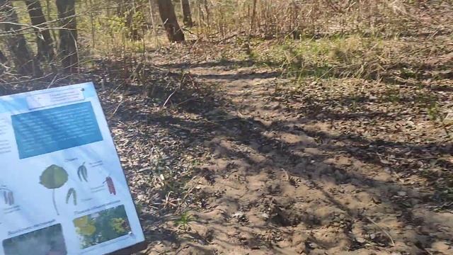 западный Котлин смотреть онлайн