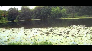 Александр Закшевский - «Отец» (Official Video)