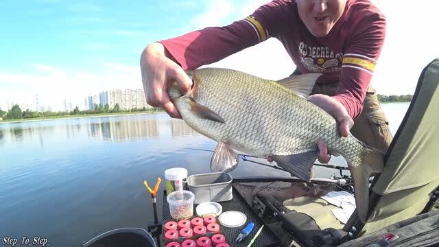 ЛЕЩ на фидер. МОНСТРЫ разгибали крючки. ЛЕЩ в Братеево.5 сент. 2020 г. смотреть онлайн