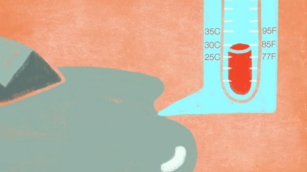 The genius of Mendeleev's periodic table - Lou Serico