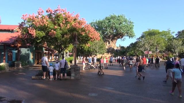 WALT DISNEY WORLD 4 Park Tour | Magic Kingdom EPCOT Disney's Hollywood Studios And Animal Kingdom