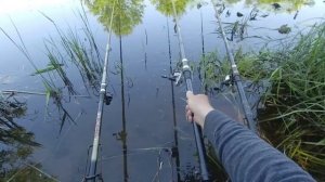 ловля карася на удочку с поплавком из дуба мормышкой