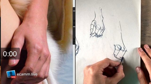 Draw Together Live! (Hands) смотреть онлайн