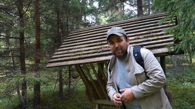 Поход по Эстонии: тропа Кейла-Йоа, замок Фалль смотреть онлайн