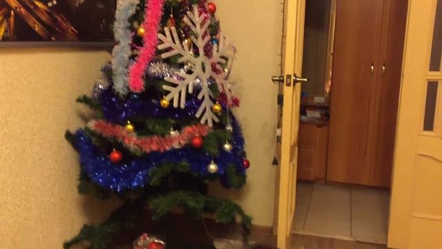 Мейн Кун Шэри и шарики на ёлке смотреть онлайн