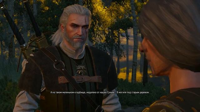 The Witcher 3. Последняя услуга смотреть онлайн