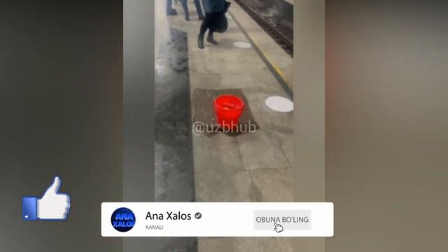 Тошкент Метросида хамма ёмгир ёгди смотреть онлайн