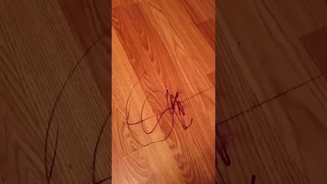 How to remove a sharpie from hardwood floors смотреть онлайн