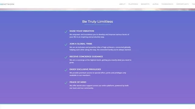 HighVibe.Network (HV) Обзор от ICO Каталог смотреть онлайн