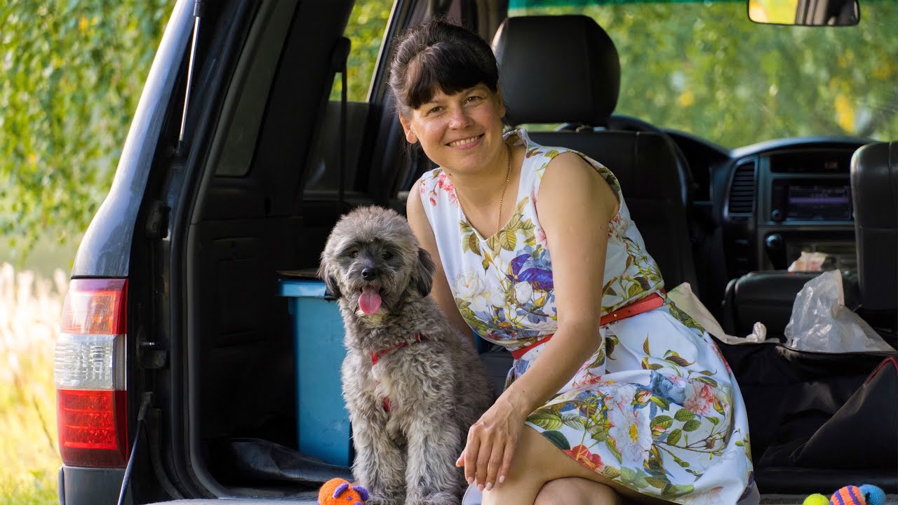 Ульяша, любимица из собачьего приюта | Очередная собака - потеряшка смотреть онлайн