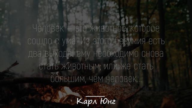Невероятно Мудрые Слова Карла Юнга | Цитаты, афоризмы, мудрые мысли. смотреть онлайн