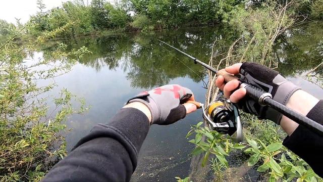 Favorite Skyline SKY-832L/ щука просыпается / Pike Wakes Up