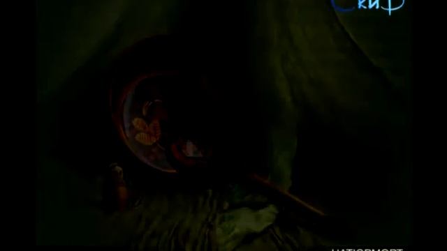 Передача "В ОБЪЕКТИВЕ". Выпуск: "НАТЮРМОРТ". смотреть онлайн