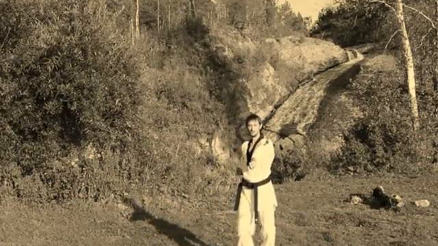 Пхумсэ 8. Тхэгыг Пхаль Чжан (тэгук паль джан). 태극 팔 장 Poomsae № 8 Taegeug Pal Jang смотреть онлайн