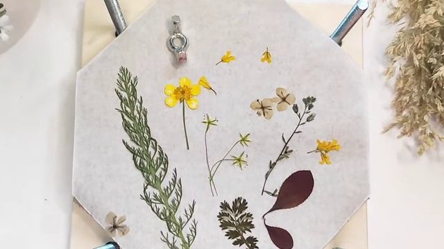 МИНИ ПРЕСС ДЛЯ ГЕРБАРИЯ. ДЛЯ ДЕТСКОГО ТВОРЧЕСТВА. СУШКА ТРАВ, ЦВЕТОВ, ЛИСТЬЕВ БЕЗ КНИГИ.