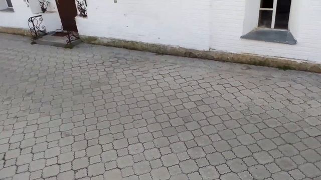 Котики при храме - забавные животные. Раифский Богородицкий монастырь смотреть онлайн