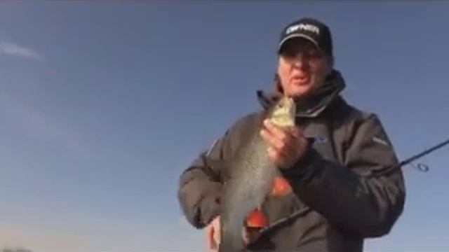 Приманки из мягкого пластика Pontoon 21