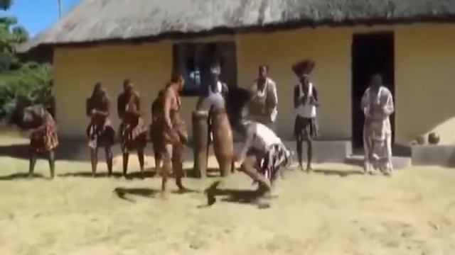 Ромашка белая. Позитивчик. HD качество смотреть онлайн