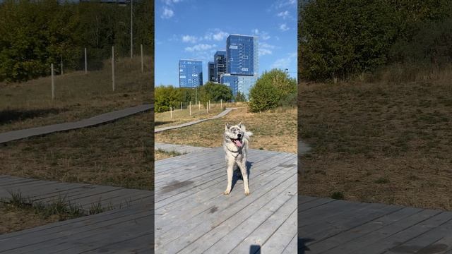 Берег Казанки смотреть онлайн