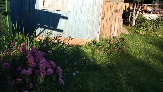 Строительные Консультации