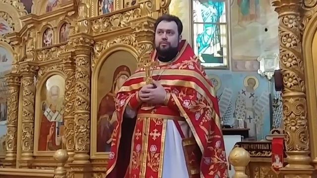 Проповедь прот. Богдана Малиновского в неделю о расслабленном. смотреть онлайн