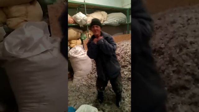 VID 20180211 181605 смотреть онлайн