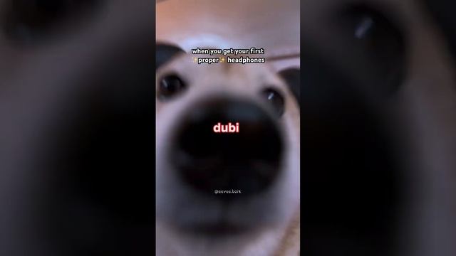 chipy chipy chapa chapa. смотреть онлайн