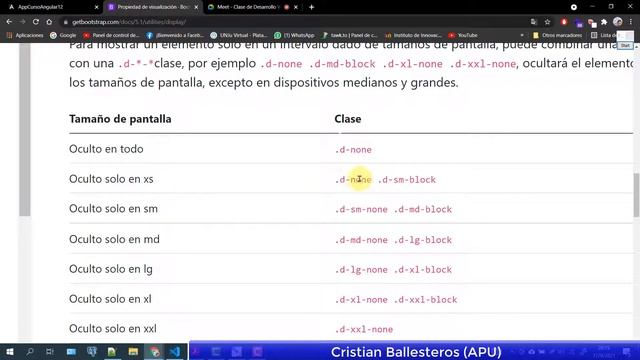 Bootstrap 5+Angular 12 display como ocultar columnas etiquetas en responsive y ocultar del print смотреть онлайн