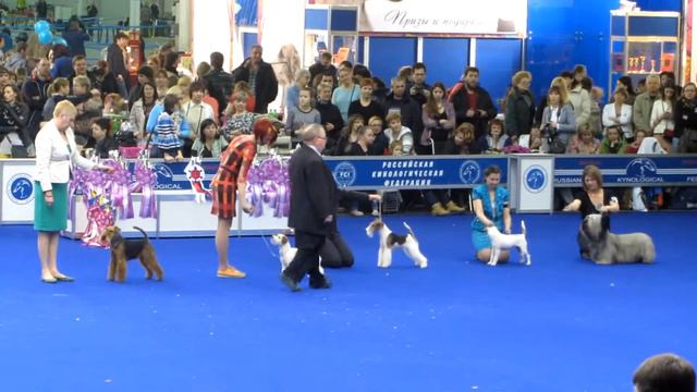 ЕВРАЗИЯ 2015, Бэст 3 группы.(часть) смотреть онлайн