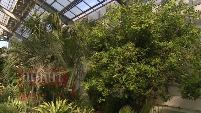 2014 10 07 Донецкий ботанический сад смотреть онлайн