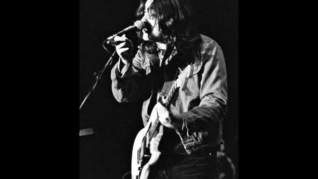 Rory Gallagher - Nothin' But The Devil - Lowlands Festival 76' смотреть онлайн