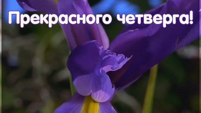 С добрым утром. смотреть онлайн