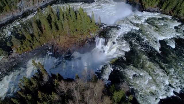 Волк въедался в сердце старика и разрывал грудину лапами! Его еще можно было спасти! смотреть онлайн