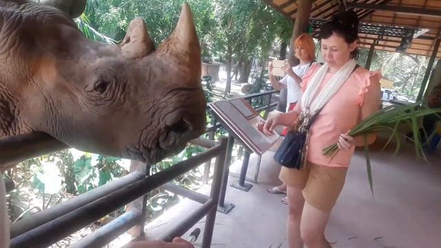 Парк, носороги смотреть онлайн