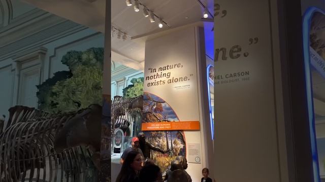 We visited the Smithsonian Museum of natural history смотреть онлайн