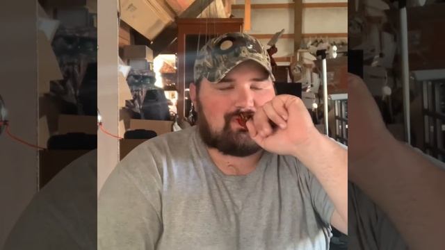 Duck calling Tips & Tricks “ the feeding chuckle” смотреть онлайн