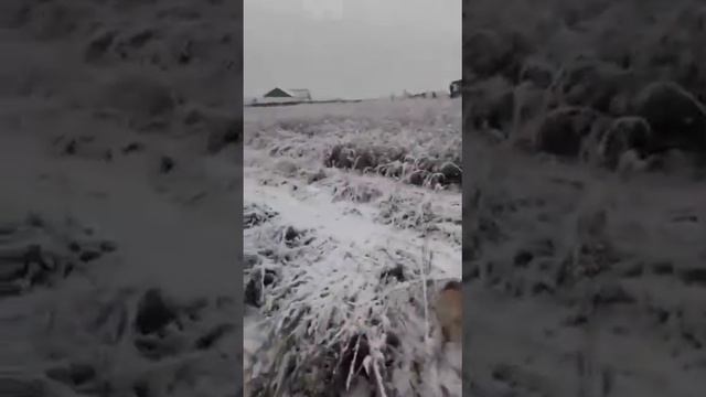 Татьянин дом🏡 Деревенский дневник📕 Хроника домашнее видео📹 зима 🌨2022. С Джеем🐕 на прогулке 🚺 смотреть онлайн