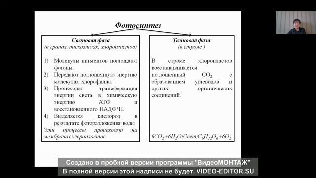 Обмен веществ. Фотосинтез. Биосинтез белка. Ген смотреть онлайн